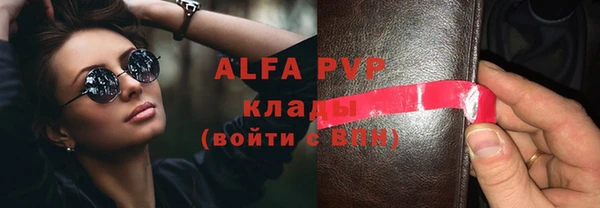 гашик Арсеньев