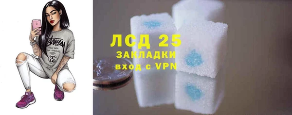 гашик Арсеньев