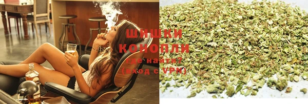 стафф Аркадак