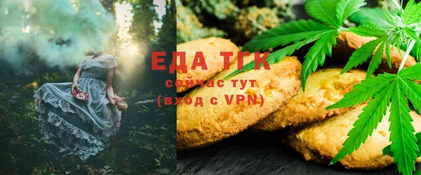 гашик Арсеньев