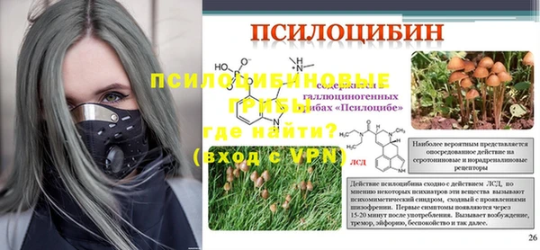 стафф Аркадак