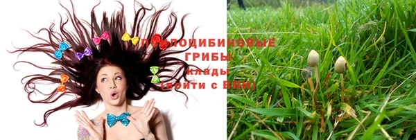 гашик Арсеньев