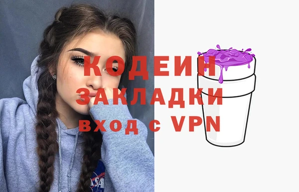 гашик Арсеньев