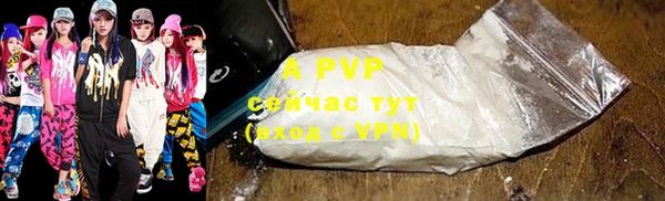 гашик Арсеньев