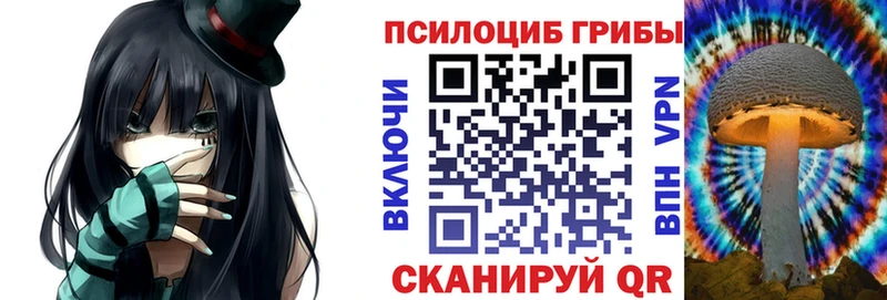 где продают   Устюжна  Псилоцибиновые грибы ЛСД 